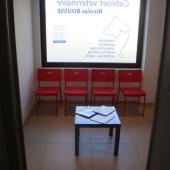 salle d'attente vétérinaire salle d'attente vétérinaire